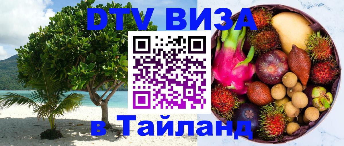 Сколько стоит DTV виза — актуальные цены, оформление даже без документов - 18.11.2025 